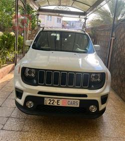 جيب رينيجيد